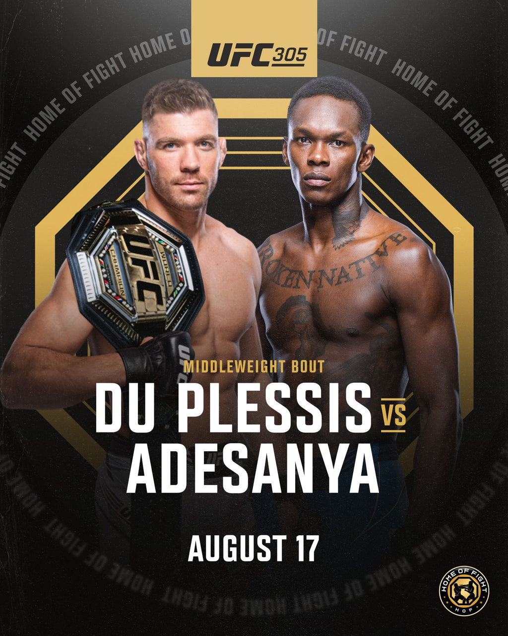 Adesayna V Du Plessis Who Wins?